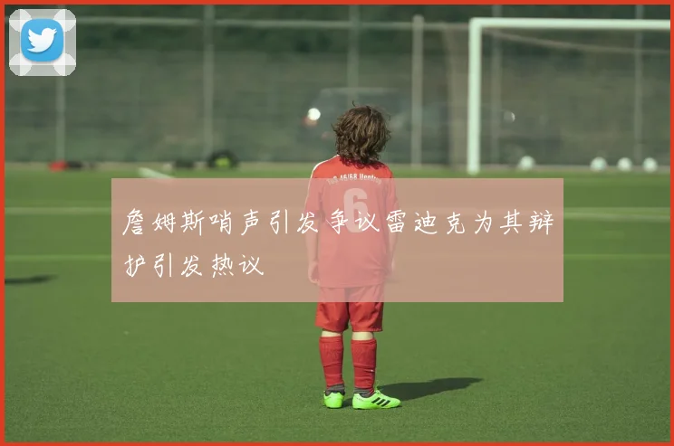 詹姆斯哨声引发争议雷迪克为其辩护引发热议